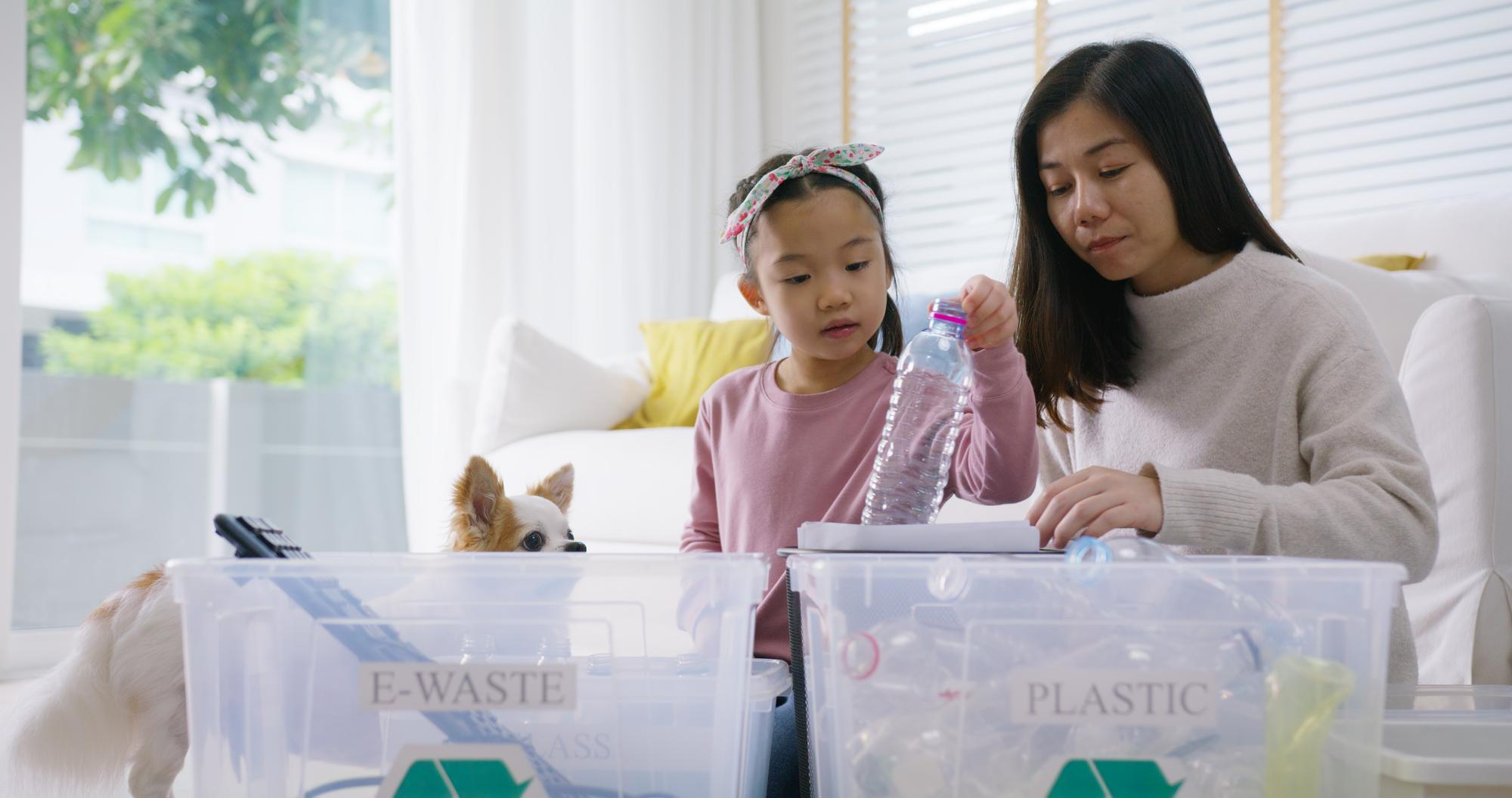 Pure Vision Recycling Service in Dubai